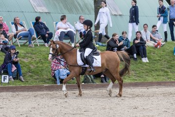 Bild 713 - Pony Akademie Turnier